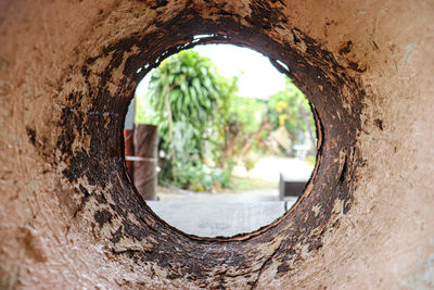 Close-up of hole in tree trunk