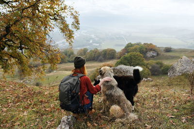 Rear view of a dog standing on land