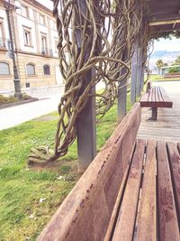 Bench in park by building