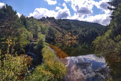 Scenic view of lake in forest against sky