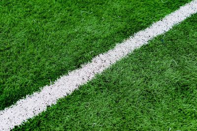 High angle view of green field