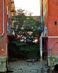 View of house with plants in foreground