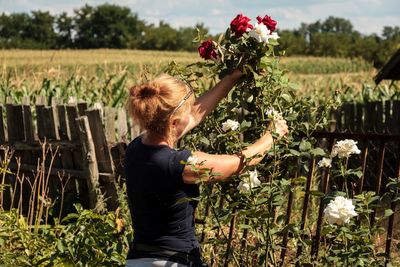 Rear view of woman picking flowers on field