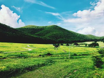 Scenic view of agricultural field against sky