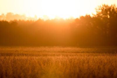 Scenic view of field against sky during sunset