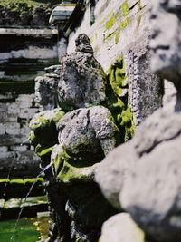 Low angle view of moss on stone wall