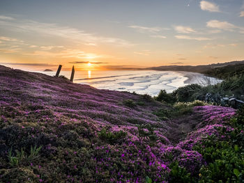 Scenic view of beach against sky during sunset