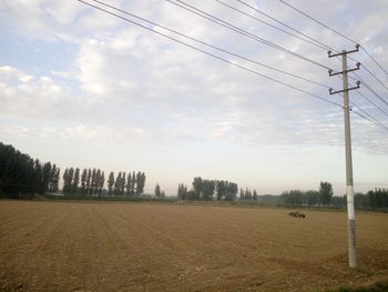 Surface level of agricultural landscape against the sky