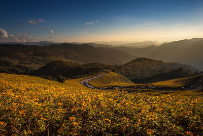 Scenic view of field and mountains against sky