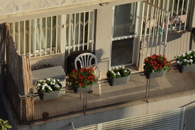 Potted plants on railing of building