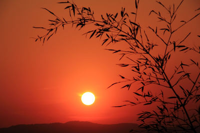 Low angle view of silhouette bare tree against orange sky