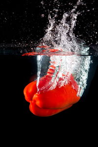 Close-up of red bell pepper splashed in water over black background