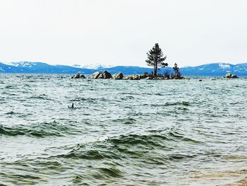 Scenic view of sea against clear sky