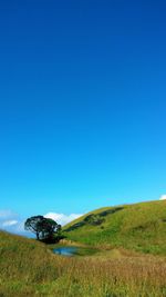 Scenic view of landscape against clear blue sky