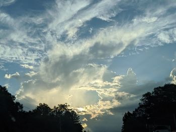 Low angle view of silhouette trees against sky