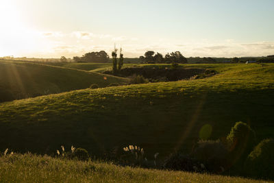 Scenic view of field against sky during sunset