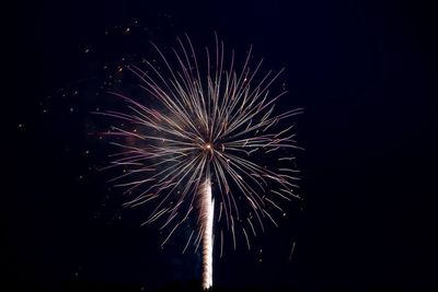 Low angle view of firework display at night