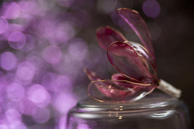 Close-up of pink rose on glass table