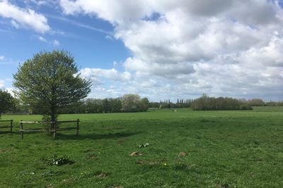 Trees on field against cloudy sky