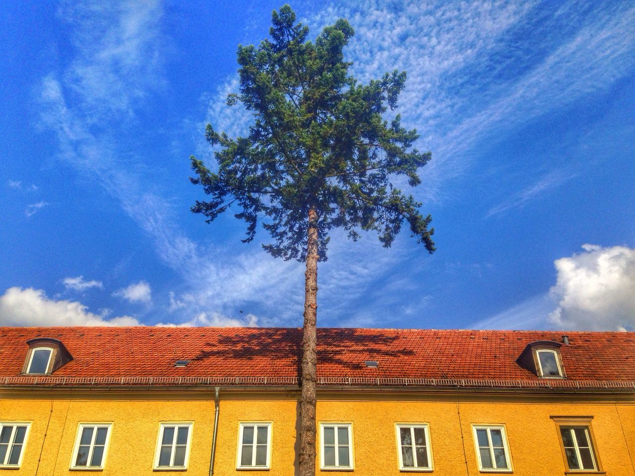 architecture, building exterior, built structure, low angle view, sky, house, cloud - sky, cloud, tree, window, residential structure, blue, residential building, high section, day, outdoors, no people, cloudy, building, roof