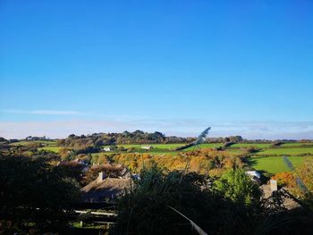 Scenic view of landscape against clear blue sky