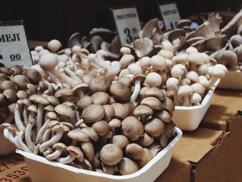 Close-up of food