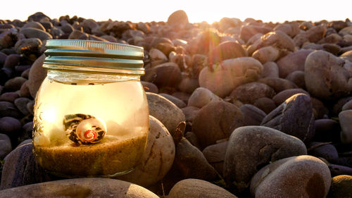 Close-up of pebbles in jar