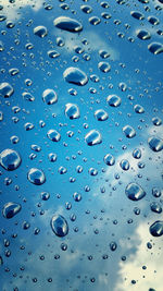 Close-up of water drops on black background