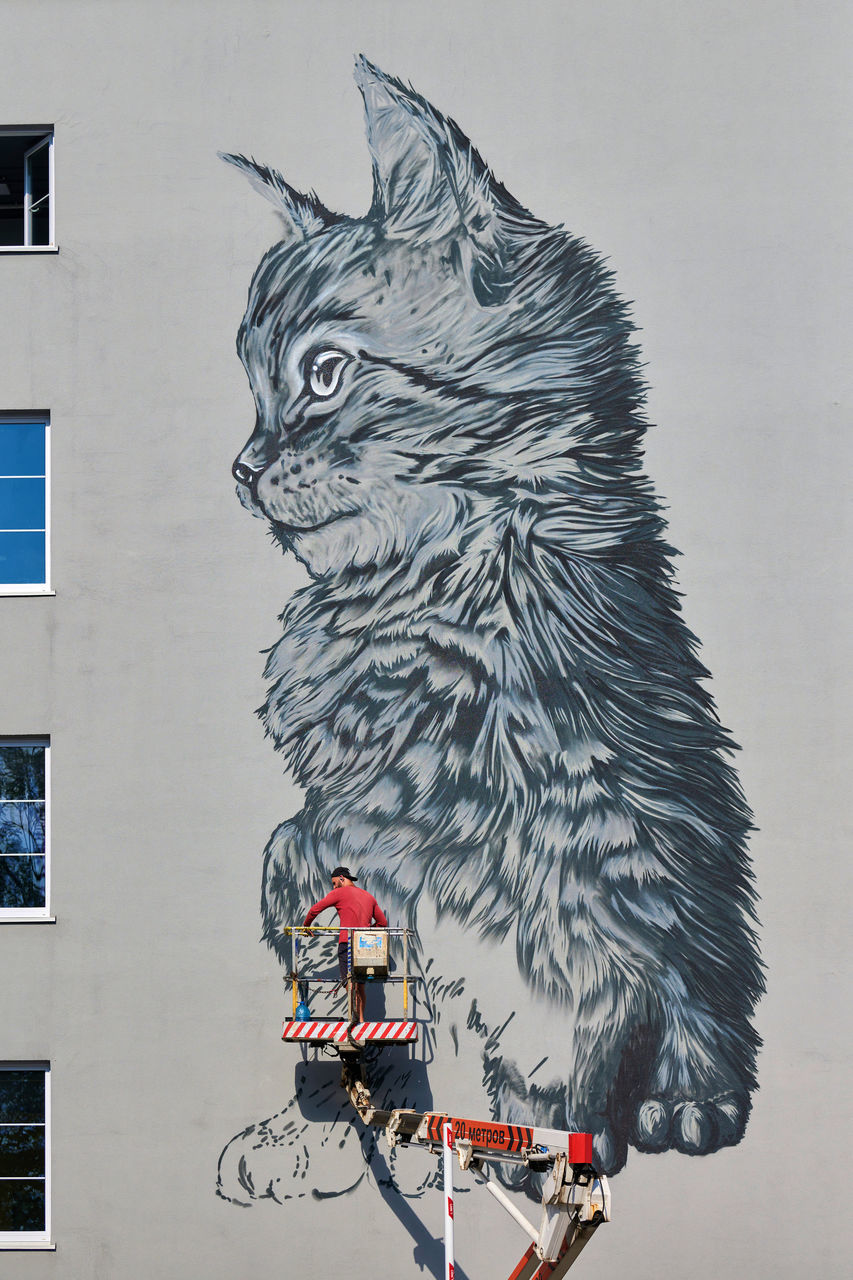 CLOSE-UP OF BIRD FLYING AGAINST BUILDING