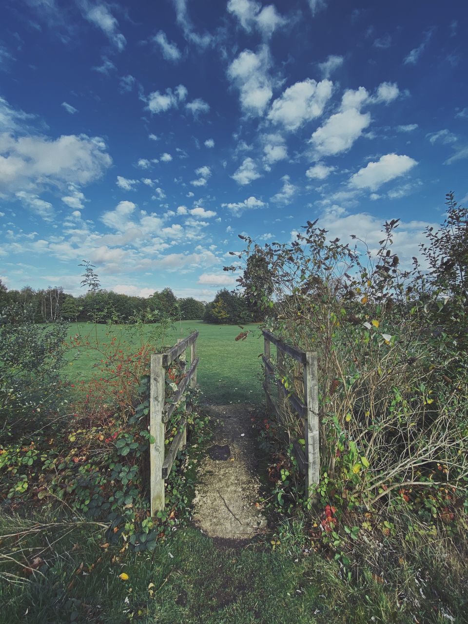 FENCE ON FIELD AGAINST SKY