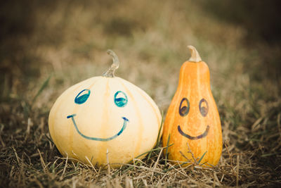 Close-up of pumpkin on grass during halloween