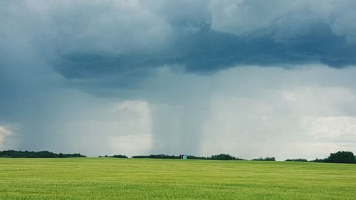 Scenic view of field against sky