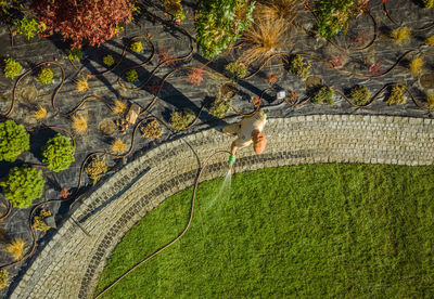 High angle view of man by field