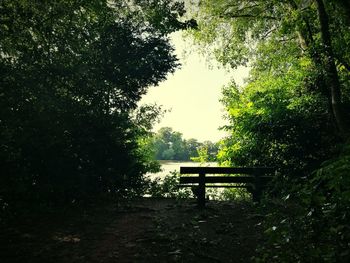 Empty bench in park