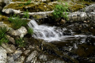 Scenic view of waterfall