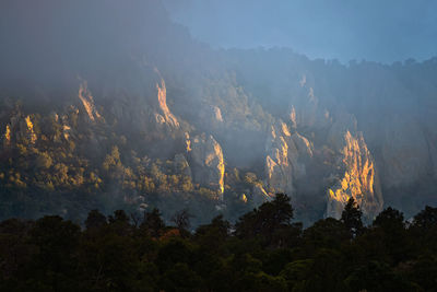 Panoramic view of forest against sky