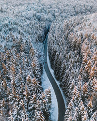 High angle drone photo view of frozen trees and curvy road during winter