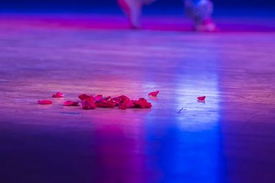 Petals on stage floor