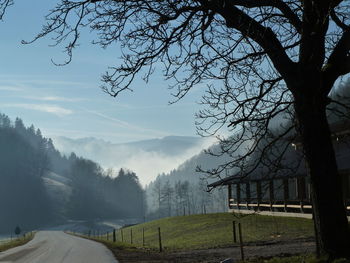 Scenic view of tree mountains against sky