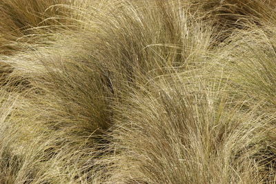 Full frame shot of white background