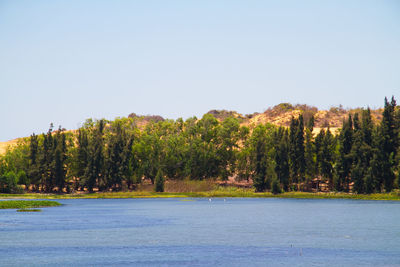 Scenic view of trees by lake against clear sky