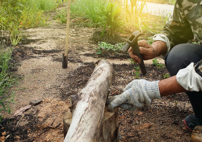 Man working by plants