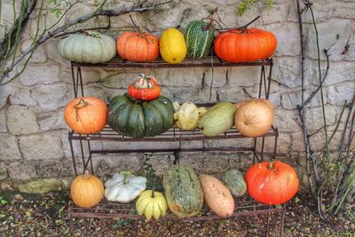 Pumpkins on rack against stone wall