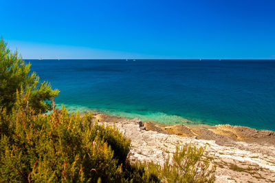 Scenic view of sea against clear blue sky