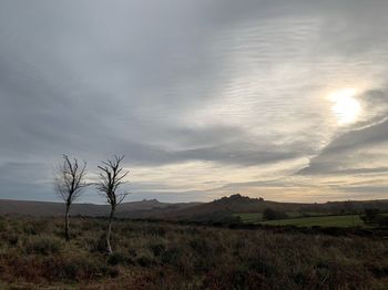Scenic view of field against sky