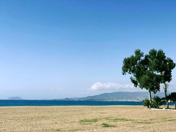 Scenic view of sea against clear blue sky