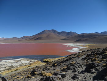 Scenic view of laguna colorada by mountains against clear blue sky