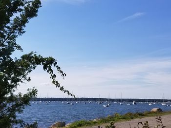 Scenic view of river against blue sky