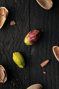 High angle view of fruits on table