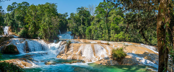 Scenic view of waterfall in forest